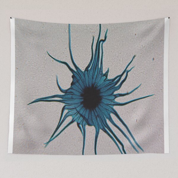 Item preview, Stellato-Pilosus  designed and sold by CellsOfWorld.