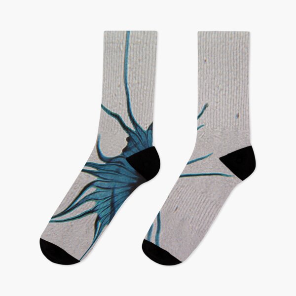 Item preview, Stellato-Pilosus  designed and sold by CellsOfWorld.