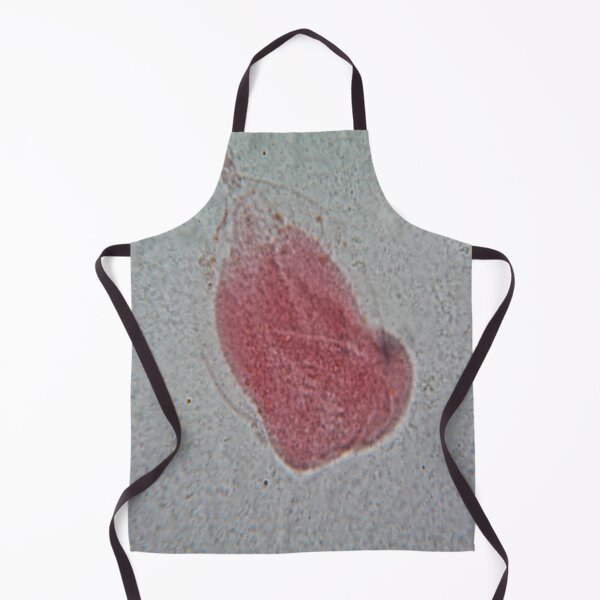Item preview, Rhizopus  designed and sold by CellsOfWorld.