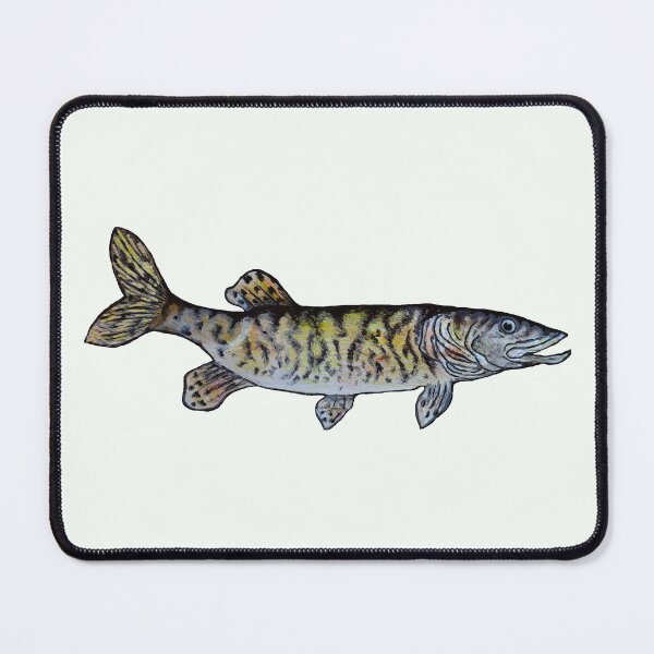 Item preview, Musky Fish Illustration Off White designed and sold by Michelebuttons.