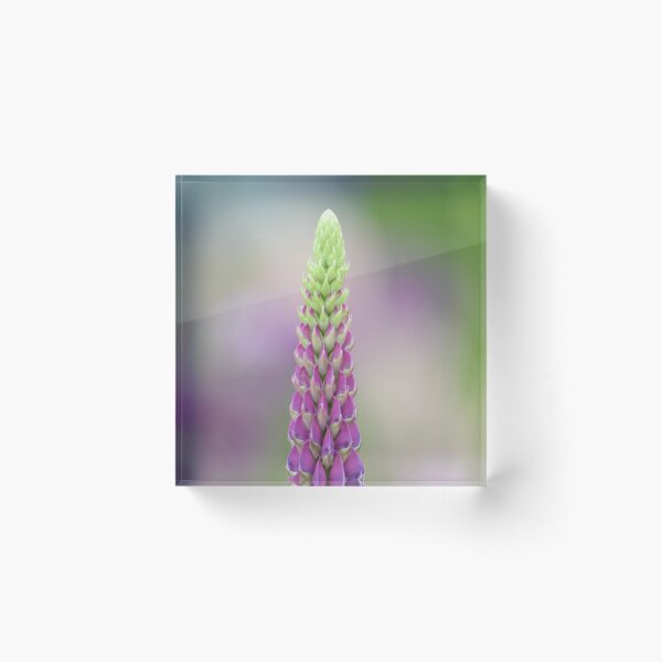 Item preview, Bold Flower Close Up designed and sold by Esther Hutchcroft.