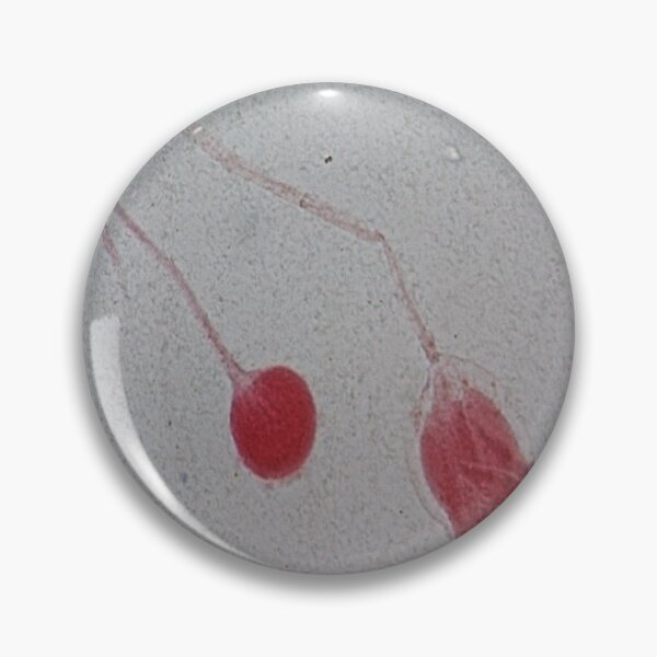 Item preview, Rhizopus  designed and sold by CellsOfWorld.