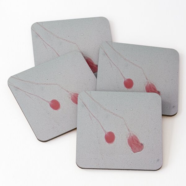 Item preview, Rhizopus  designed and sold by CellsOfWorld.