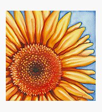 "A Little Sunshine" Photographic Print