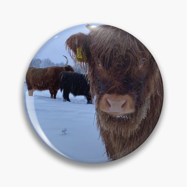 Artikelvorschau, Scottish Highland Cattle Calf in snow 2680 entworfen und verkauft von SaarelaHighland.
