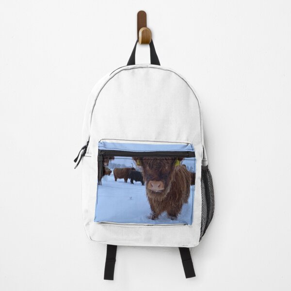 Item preview, Scottish Highland Cattle Calf in snow 2680 designed and sold by SaarelaHighland.
