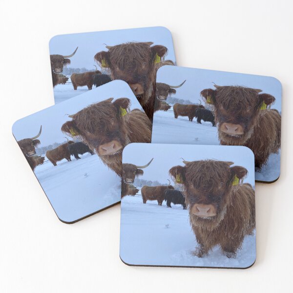 Item preview, Scottish Highland Cattle Calf in snow 2680 designed and sold by SaarelaHighland.