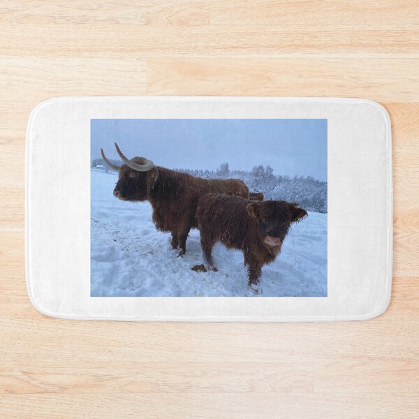 Item preview, Scottish Highland Cattle Cow and Calf in snow 2681 designed and sold by SaarelaHighland.