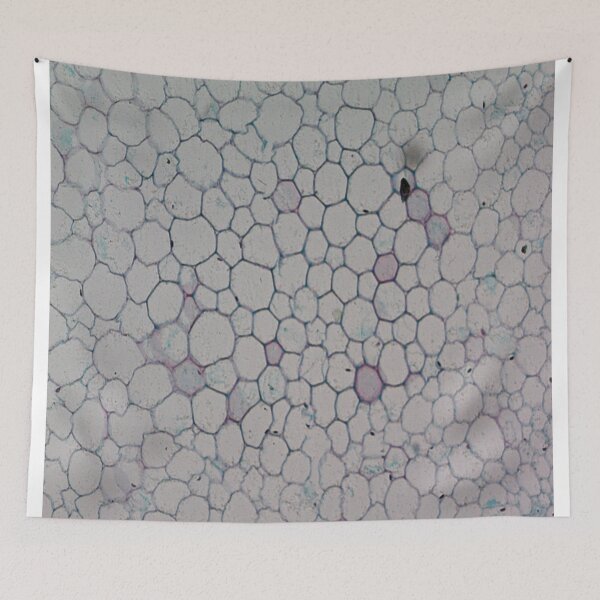 Item preview, Helianthus Stem  designed and sold by CellsOfWorld.