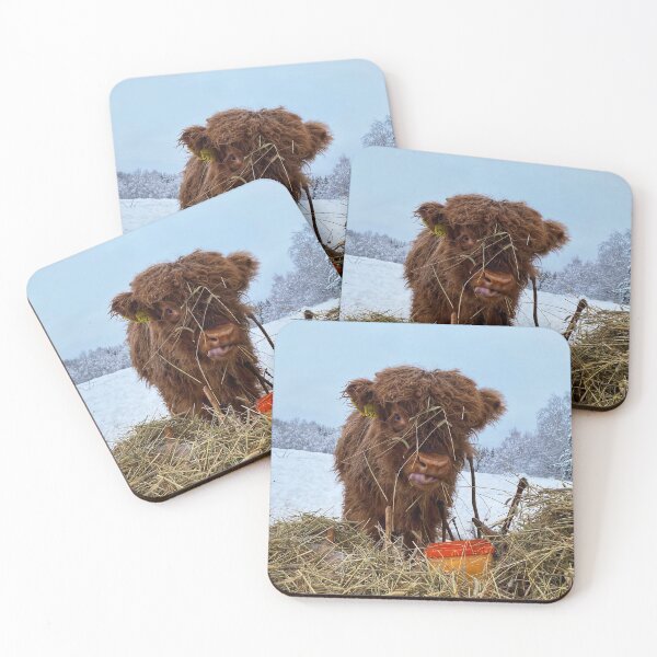 Item preview, Scottish Highland Cattle Calf in snow 2682 designed and sold by SaarelaHighland.