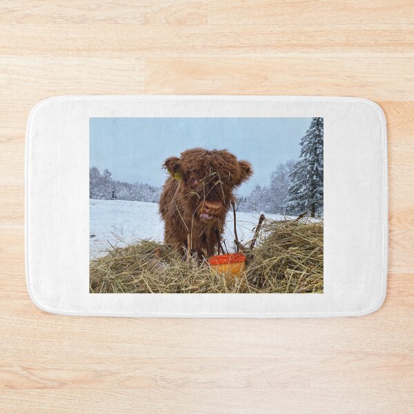 Item preview, Scottish Highland Cattle Calf in snow 2682 designed and sold by SaarelaHighland.