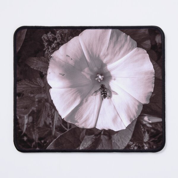 Item preview, Looking - A View  designed and sold by Carl Gaynor.