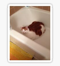 Mr. Bathtub Sticker