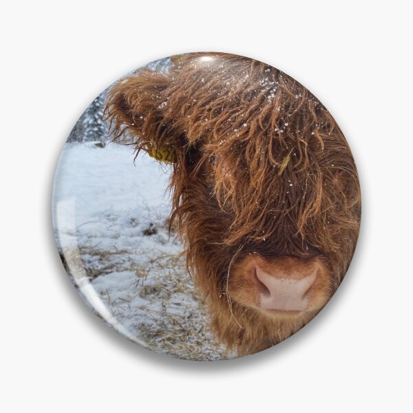 Artikelvorschau, Scottish Highland Cattle Calf in snow 2684 entworfen und verkauft von SaarelaHighland.