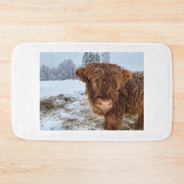 Item preview, Scottish Highland Cattle Calf in snow 2684 designed and sold by SaarelaHighland.