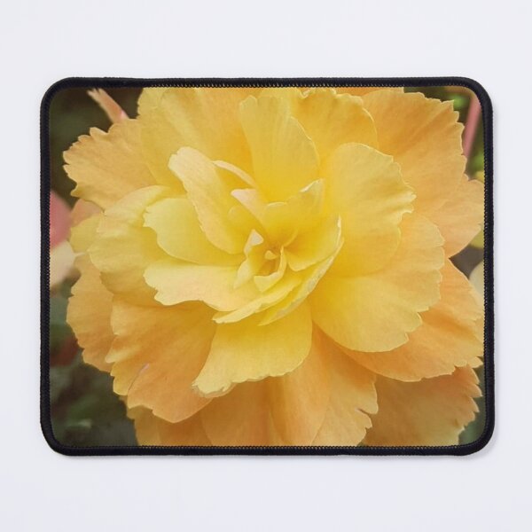 Item preview, Blooming Flower designed and sold by House of Hartz by: Dominique11.