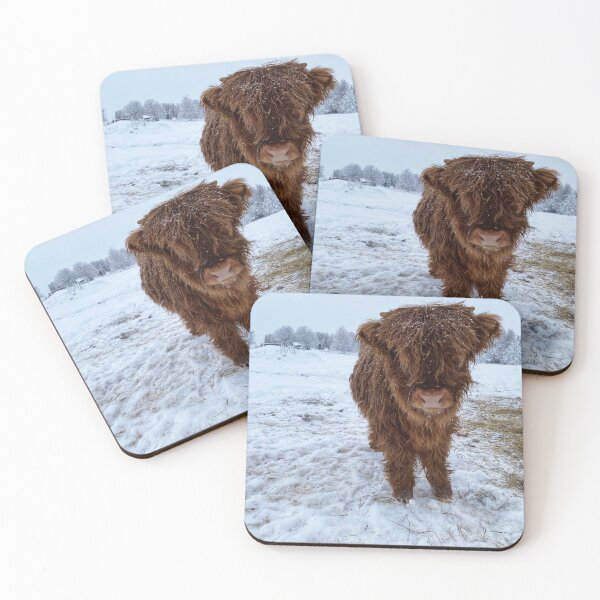 Item preview, Scottish Highland Cattle Calf in snow 2686 designed and sold by SaarelaHighland.
