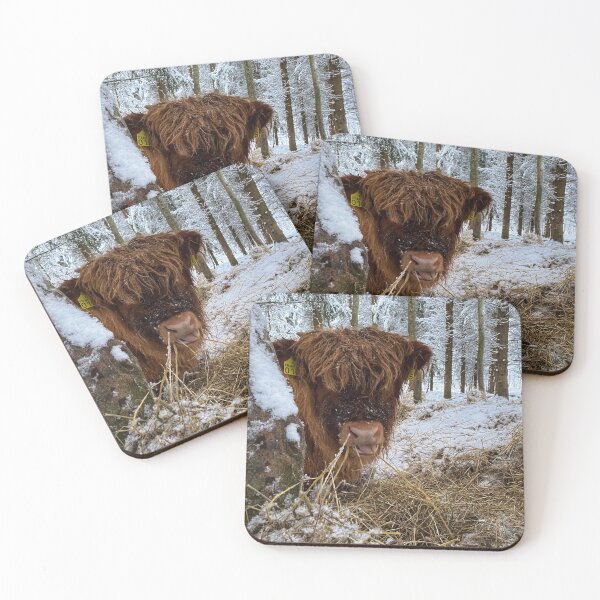 Item preview, Scottish Highland Cattle Calf in snow 2687 designed and sold by SaarelaHighland.