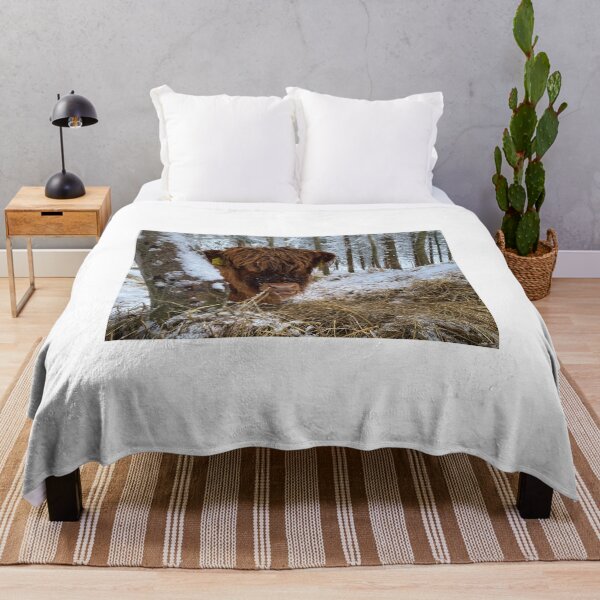 Item preview, Scottish Highland Cattle Calf in snow 2687 designed and sold by SaarelaHighland.