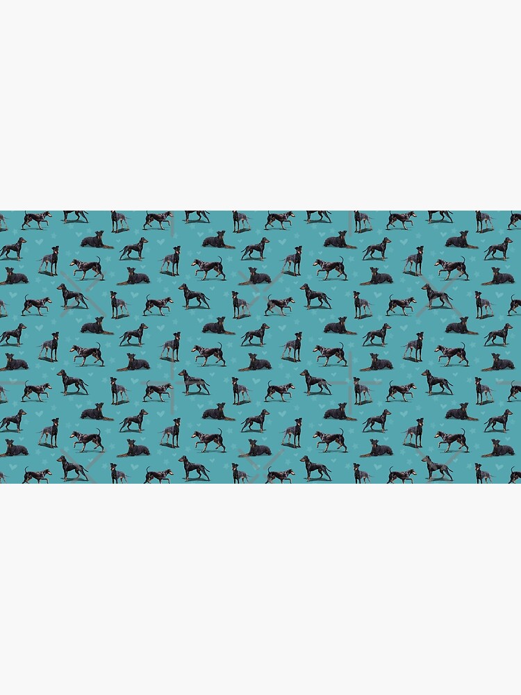 The Manchester Terrier Dog by elspethrose