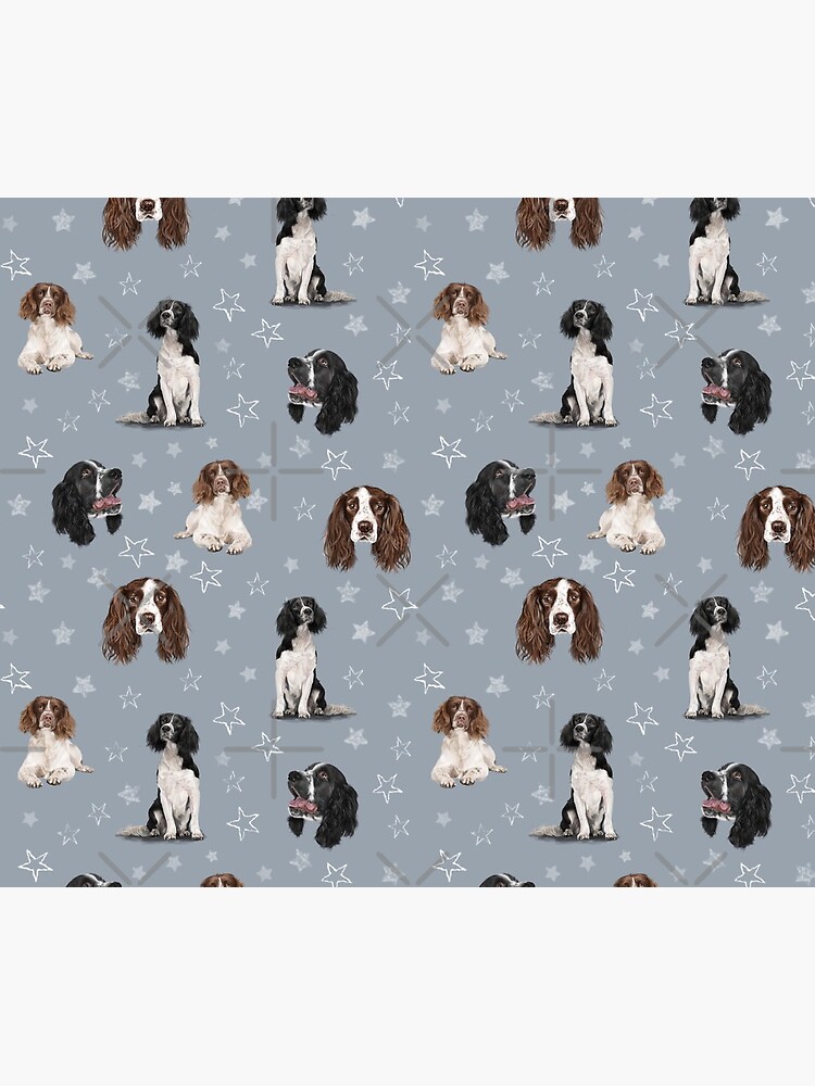 The Springer Spaniel Blue by elspethrose