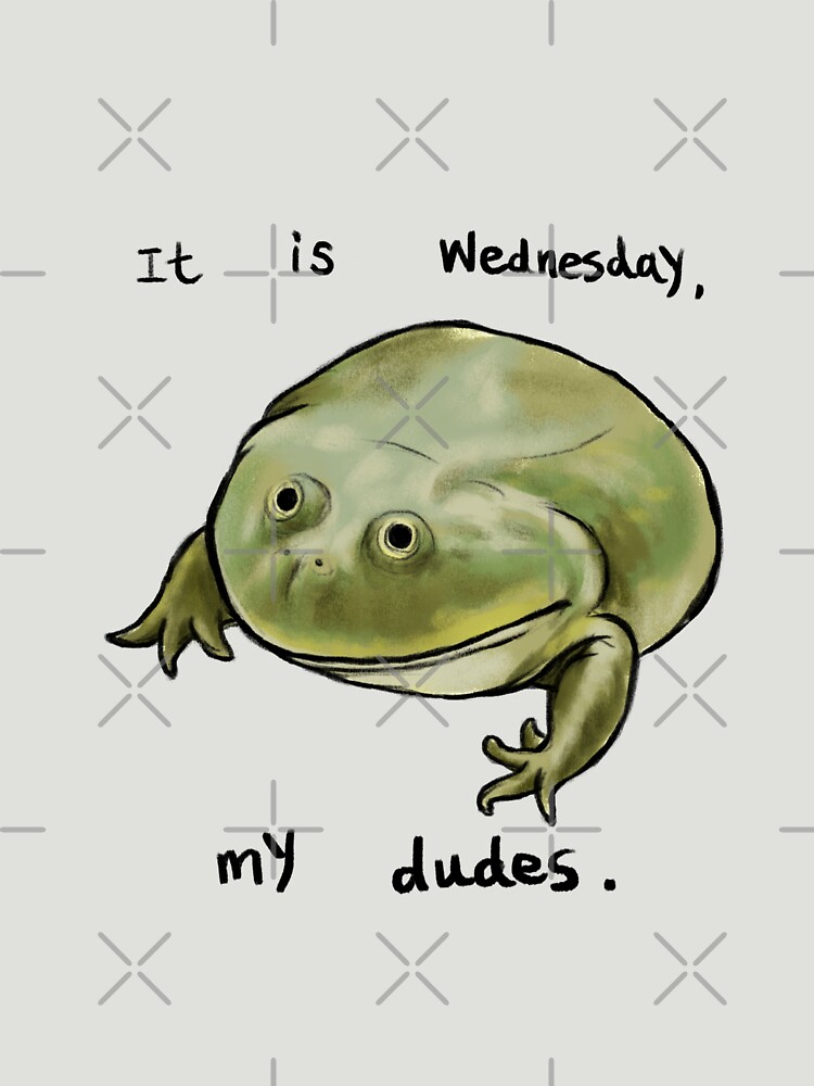 Wednesday Frog Art by DingHuArt