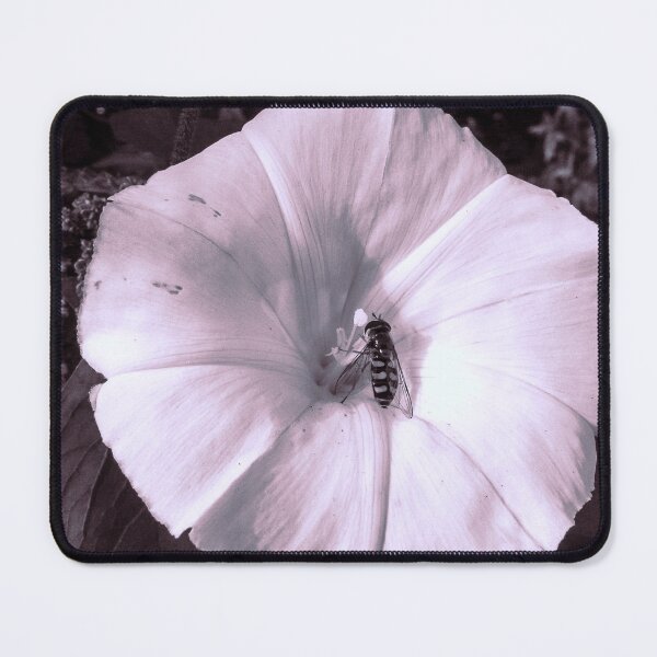 Item preview, Looking - A View designed and sold by Carl Gaynor.