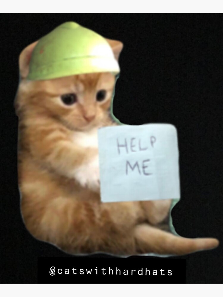 Thumbnail 3 von 3, Magnet, "Helfen Sie mir" Kätzchen-Schutzhelm-Aufkleber designt und verkauft von Catwithhardhat.