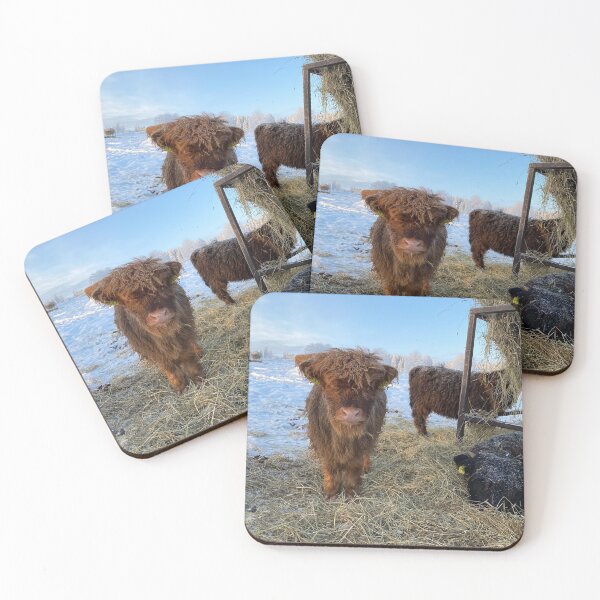 Item preview, Scottish Highland Cattle Calf in snow 2691 designed and sold by SaarelaHighland.
