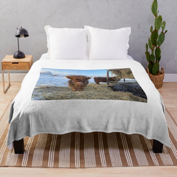 Item preview, Scottish Highland Cattle Calf in snow 2691 designed and sold by SaarelaHighland.
