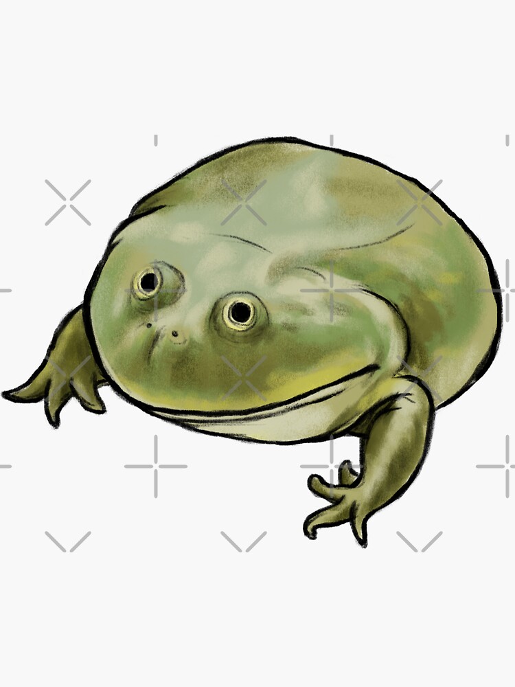 Wednesday Frog Art No Text by DingHuArt