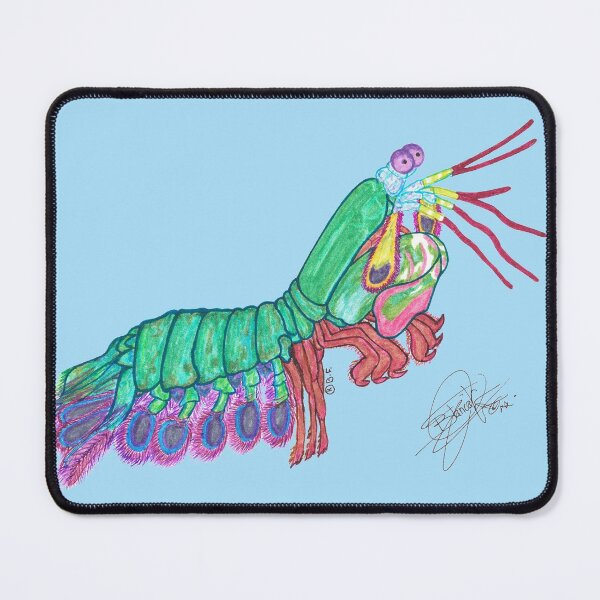 Item preview, Shrimp mantis designed and sold by BeritValk.