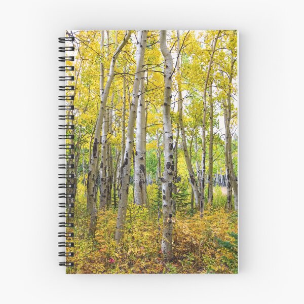 Artikelvorschau, Colorado Backcountry Wald entworfen und verkauft von Bo Insogna.
