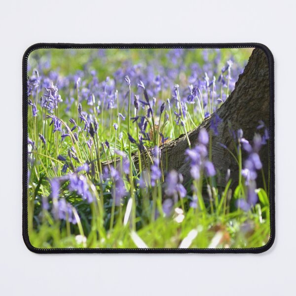 Item preview, Bluebells Woodland Close up designed and sold by Esther Hutchcroft.