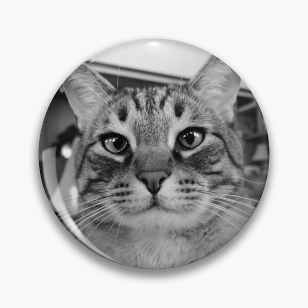 Item preview, Big Buster Cat designed and sold by jenniferloring.
