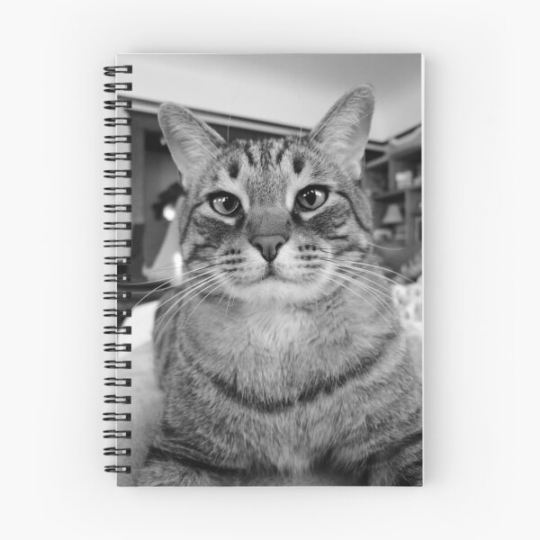 Item preview, Big Buster Cat designed and sold by jenniferloring.