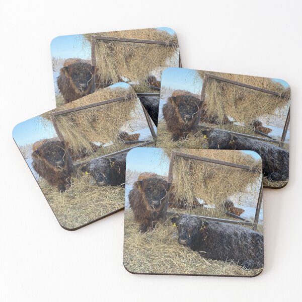 Item preview, Scottish Highland Cattle Calves in snow 2696 designed and sold by SaarelaHighland.