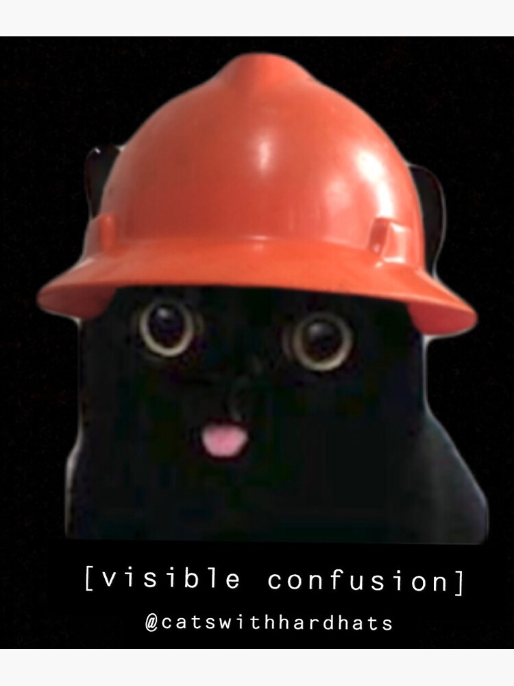 Visible confusion  by Catwithhardhat