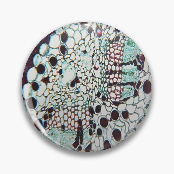 Item preview, Pine Leaf  designed and sold by CellsOfWorld.