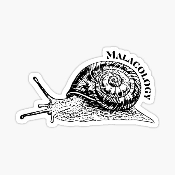 Item preview, Malacology Snail Design designed and sold by mjalred.