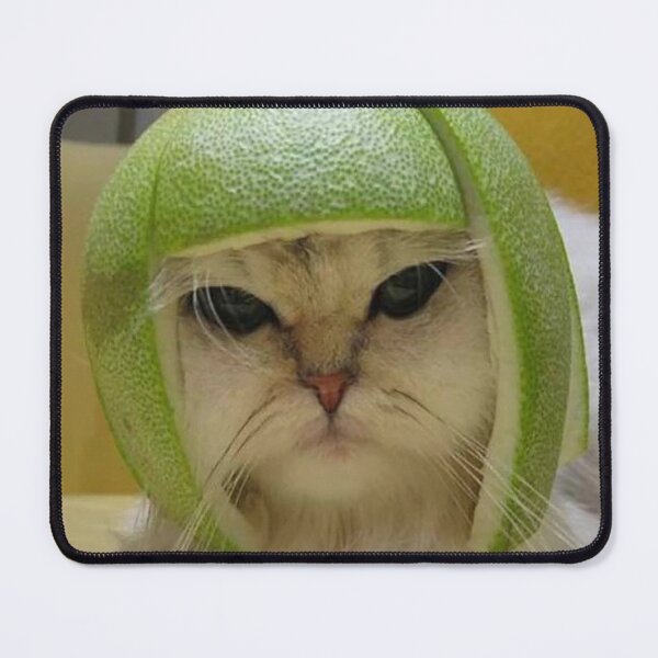 Item preview, Limecat designed and sold by Meme Economy.