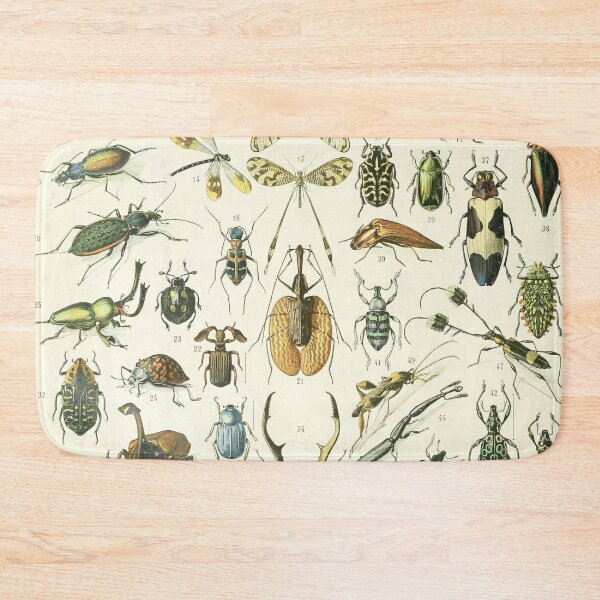 Item preview, Insect Vintage Chart designed and sold by NatureLand.