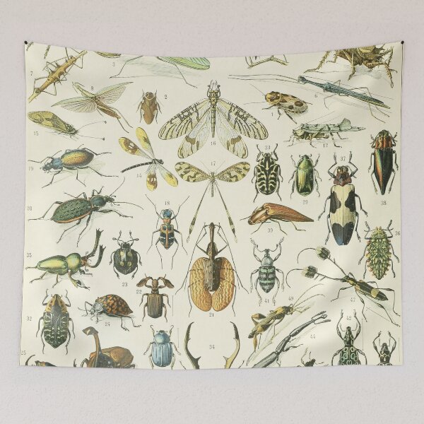 Item preview, Insect Vintage Chart designed and sold by NatureLand.