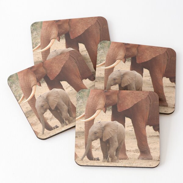 Item preview, Cute Real Baby Elephant Photograph designed and sold by Designs24U.