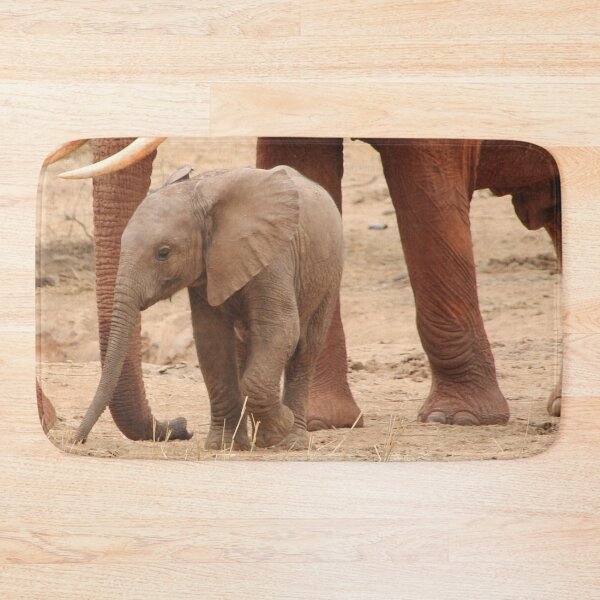 Item preview, Cute Real Baby Elephant Photograph designed and sold by Designs24U.