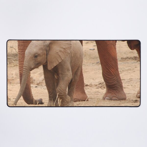 Item preview, Cute Real Baby Elephant Photograph designed and sold by Designs24U.