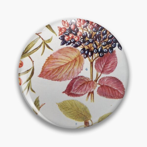 Item preview, Berries Variety Vintage Chart designed and sold by NatureLand.