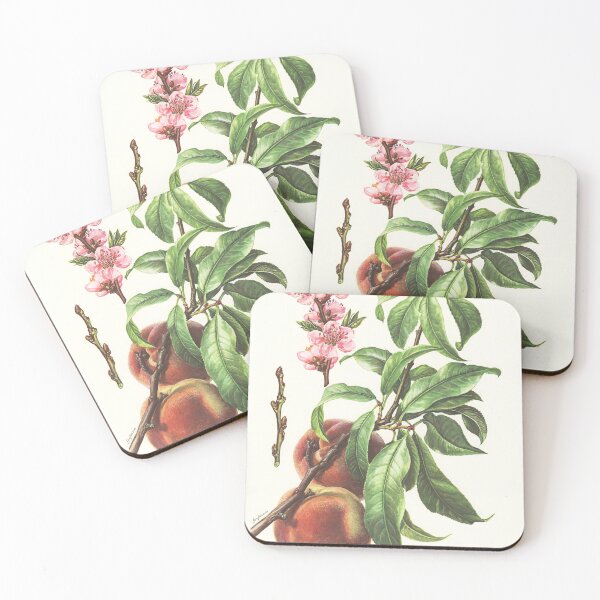 Item preview, Peach Life Cycle Poster designed and sold by NatureLand.