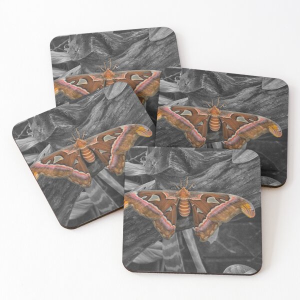 Item preview, African Moth designed and sold by Imagery.
