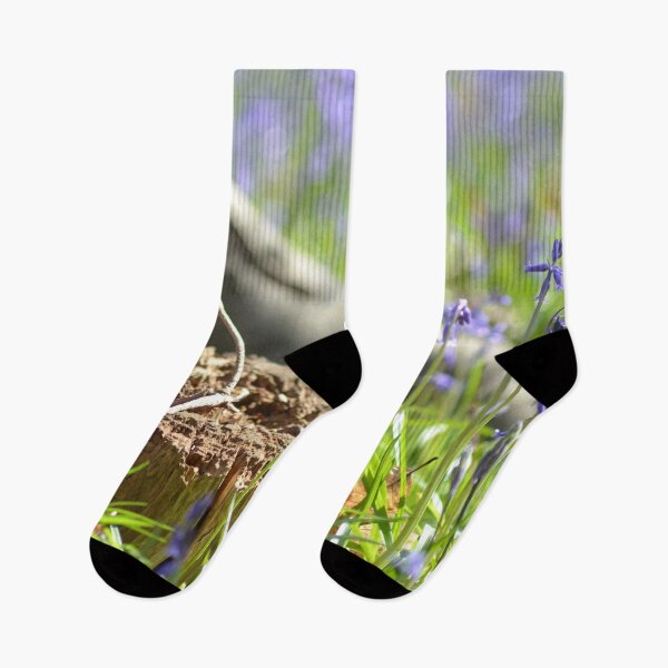 Item preview, Spring bluebell woodland designed and sold by Esther Hutchcroft.
